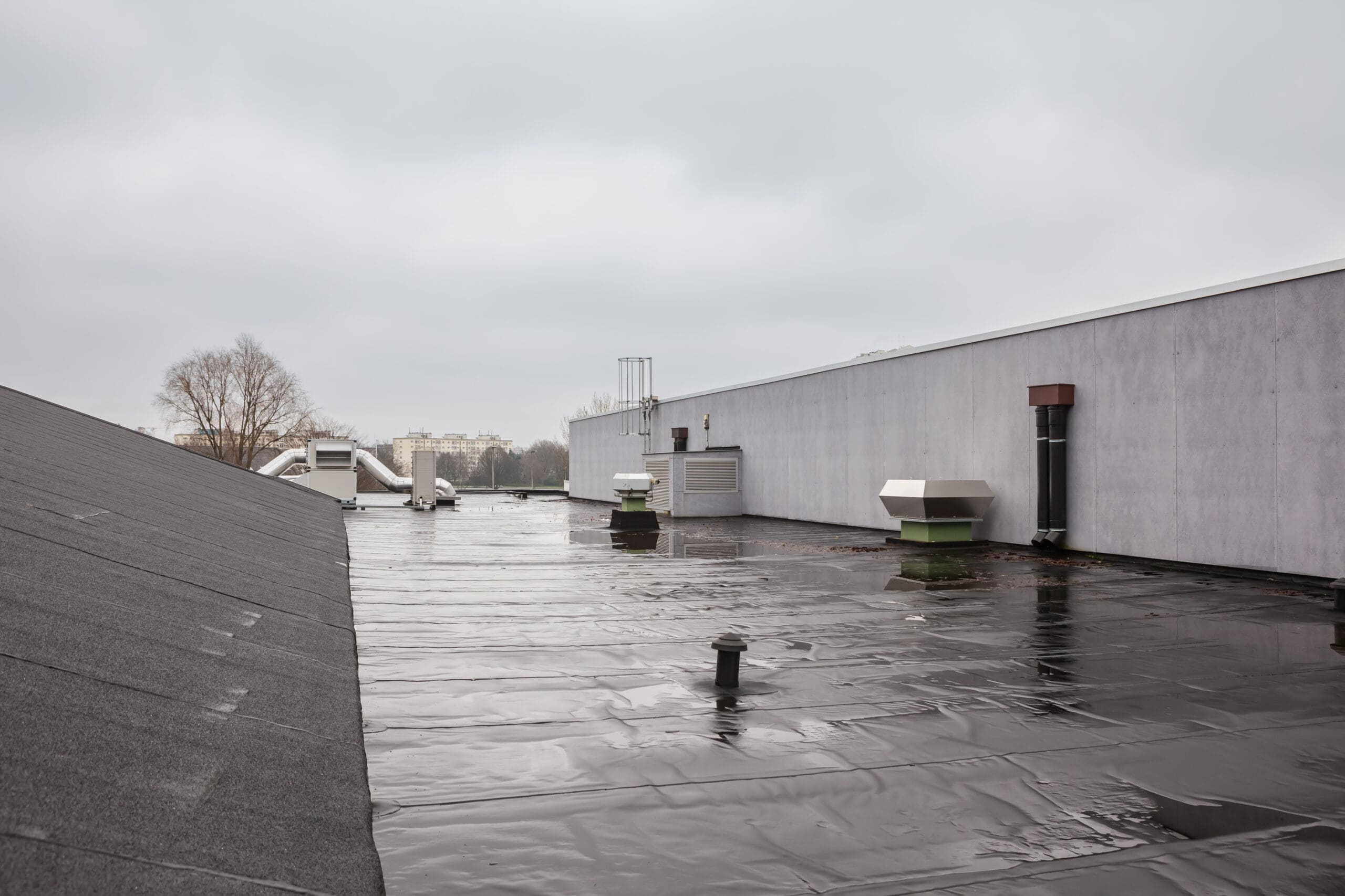 A flat rooftop with a black tar-like surface is shown on a cloudy day. Several vents and pipes are visible. In the distance, trees and buildings are faintly seen under the overcast sky.